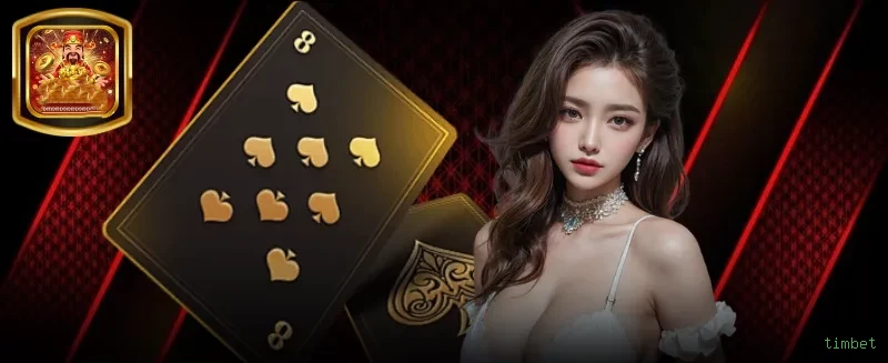 Cassino ao vivo timbet dealers